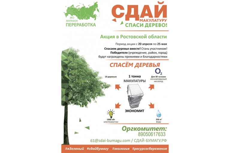 Подробнее о статье Сдай макулатуру — спаси дерево!