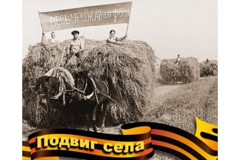 Подробнее о статье Всероссийская сетевая акция «ПОДВИГ СЕЛА»