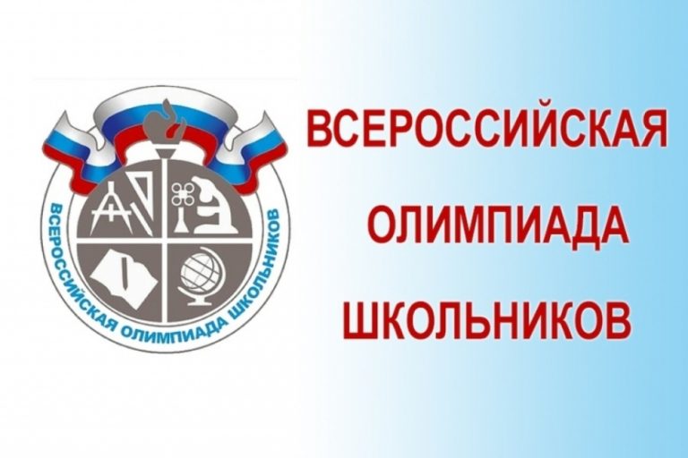 Подробнее о статье Итоги школьной олимпиады