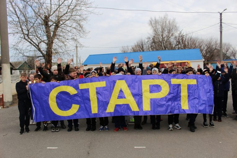 Подробнее о статье О Дне здоровья