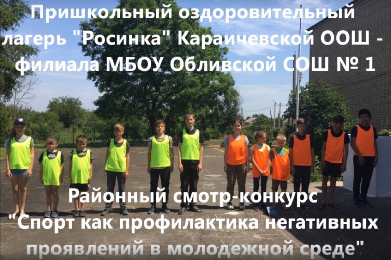 Подробнее о статье Спорт как профилактика негативных проявлений в молодежной среде