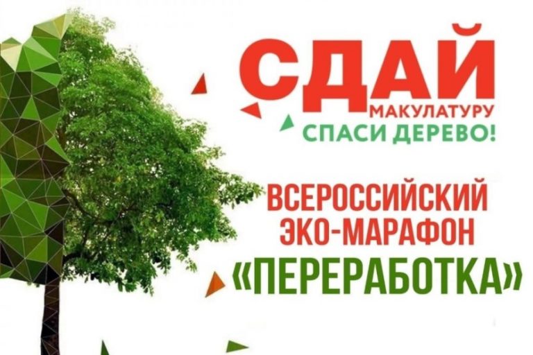 Подробнее о статье Сдай макулатуру – спаси дерево