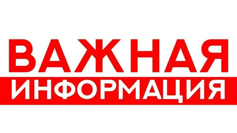Подробнее о статье Всеобуч на тему: «Безопасное лето»